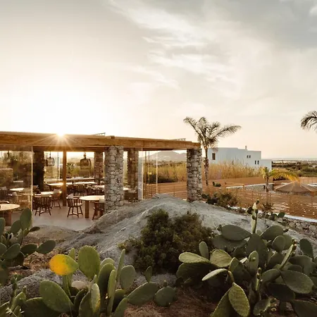 Cocopalm Naxos Agios Arsenios